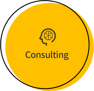 Consulting